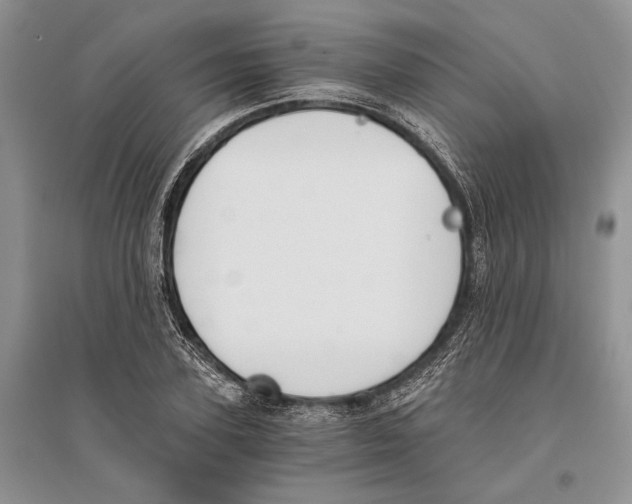 X0000096200931200802151522