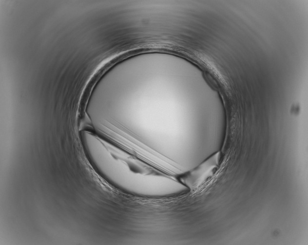 X0000096200932200802151522