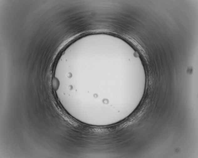 X0000096200933200802151522