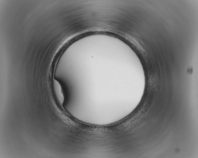 X0000096200934200802151522