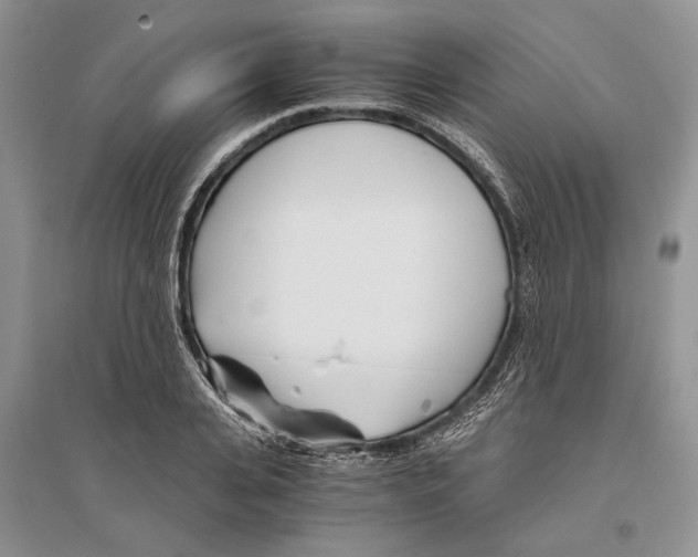 X0000096200935200802151522