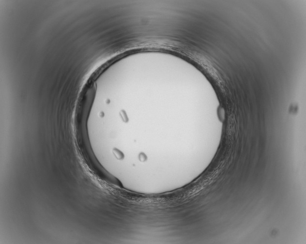 X0000096200936200802151522