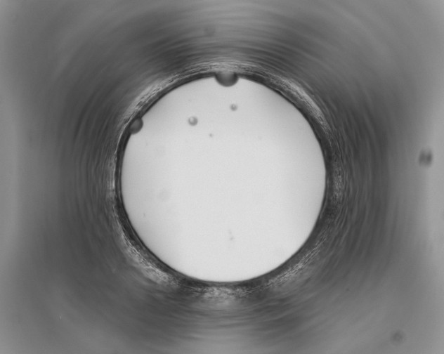 X0000096200938200802151522