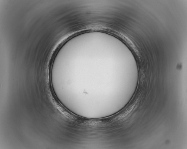 X0000096200939200802151522