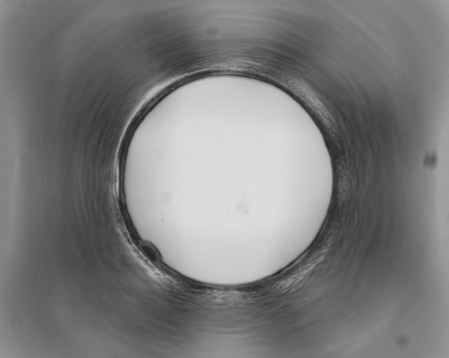 X0000096200940200802151522