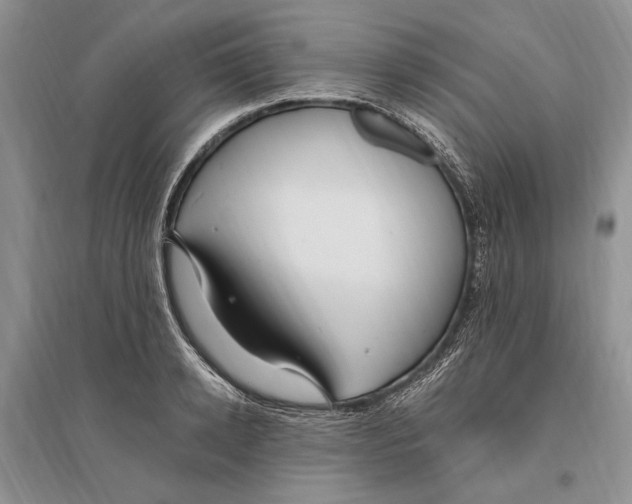 X0000096200942200802151522