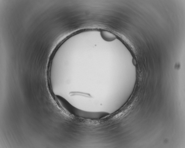 X0000096200943200802151522