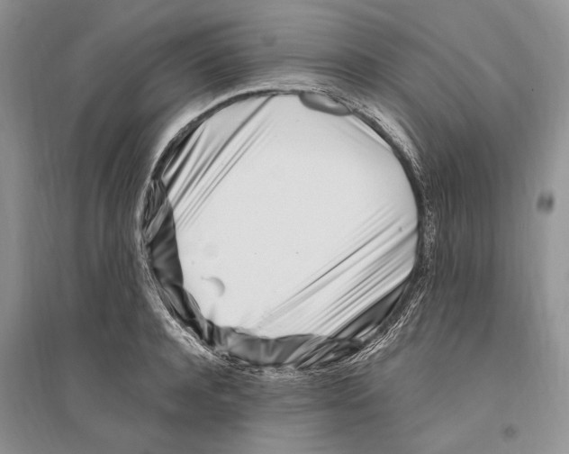 X0000096200944200802151522