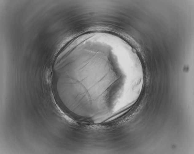 X0000096200945200802151522