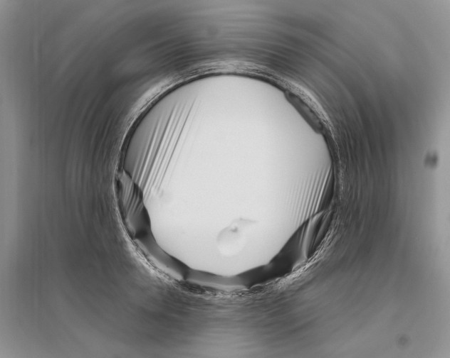 X0000096200946200802151522