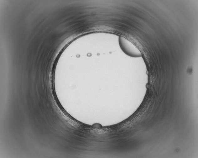 X0000096200947200802151522