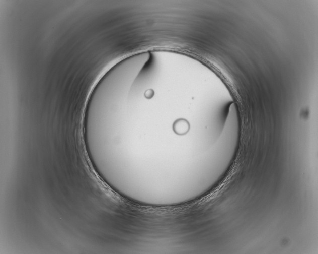 X0000096200948200802151522