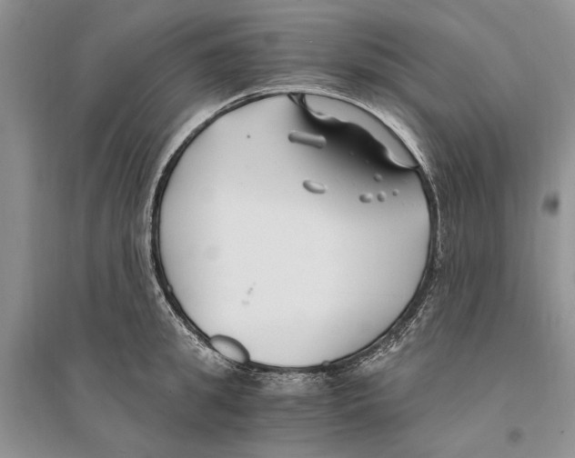 X0000096200949200802151522