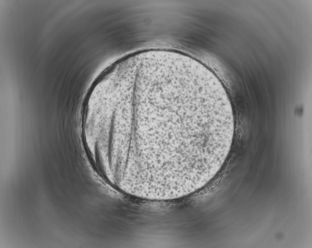 X0000096200950200802151522