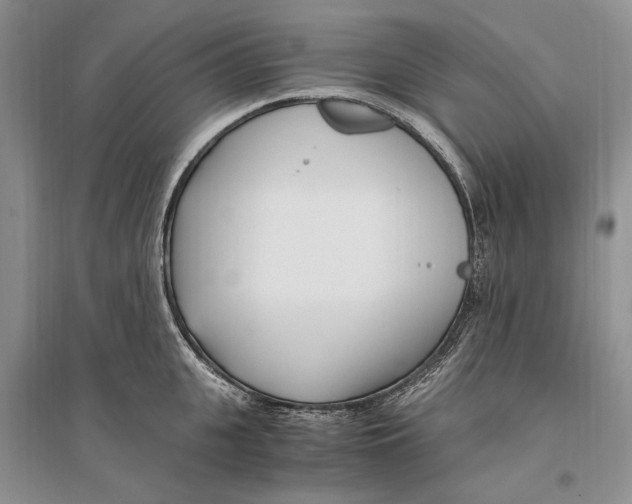 X0000096200951200802151522