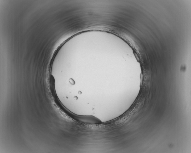 X0000096200952200802151522