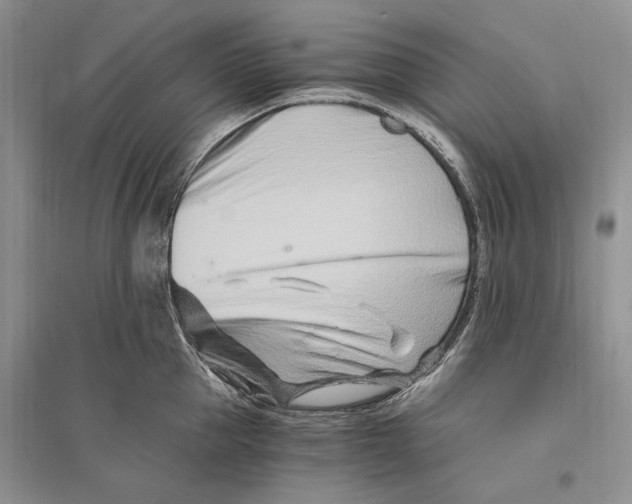 X0000096200953200802151522