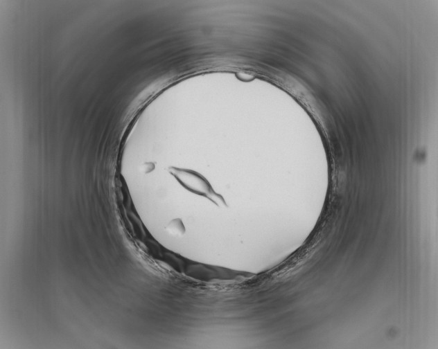 X0000096200954200802151522