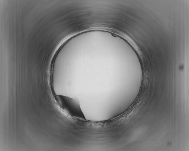 X0000096200955200802151522