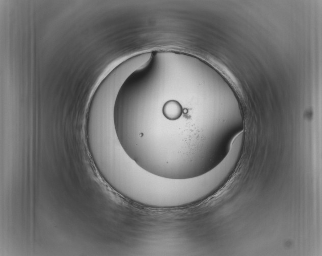 X0000096200956200802151522