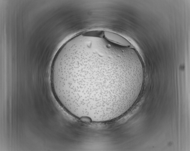 X0000096200957200802151523