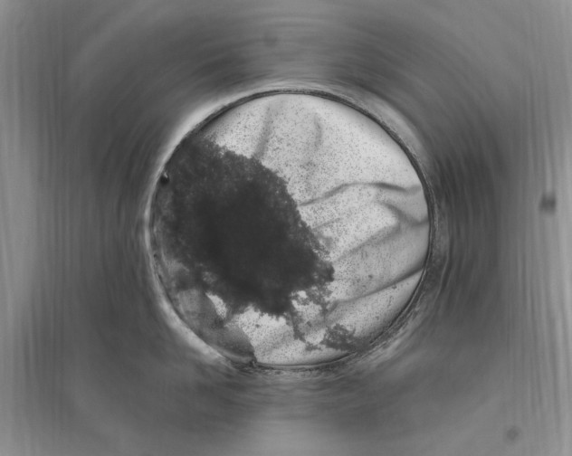 X0000096200958200802151523