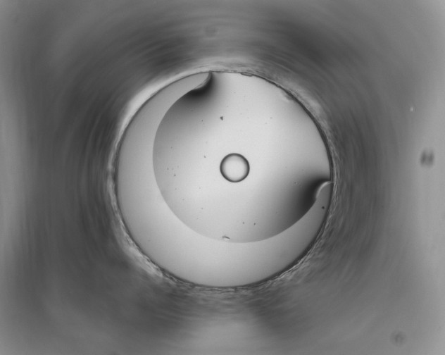 X0000096200960200802151523