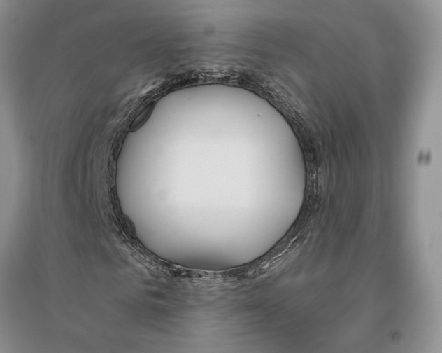 X0000096200961200802151522