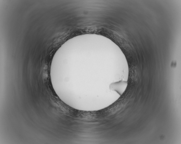 X0000096200962200802151522