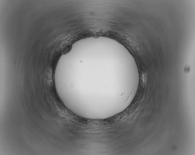 X0000096200963200802151522