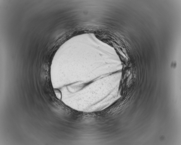 X0000096200964200802151522