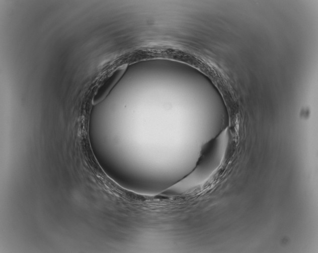 X0000096200965200802151522