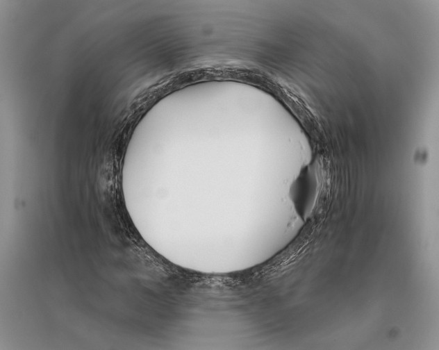 X0000096200966200802151522