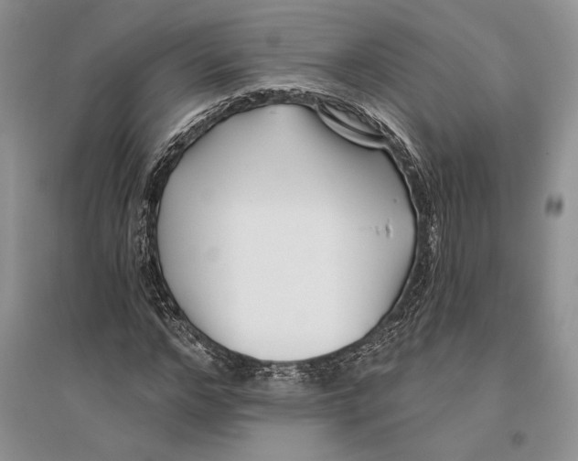 X0000096200968200802151522