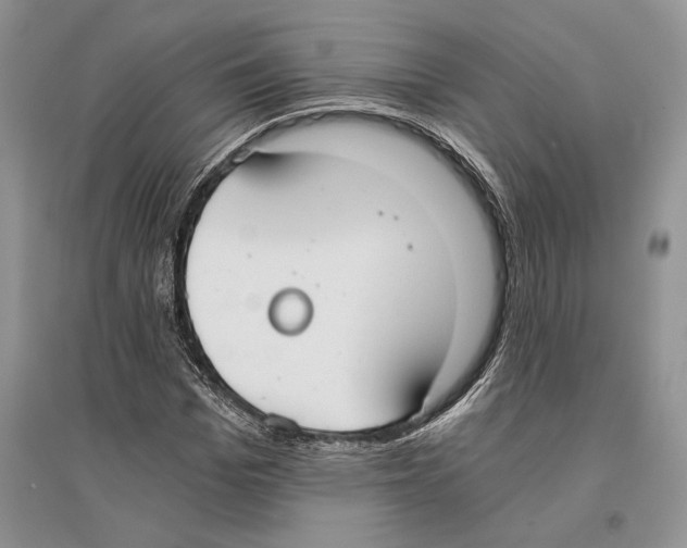 X0000096200969200802151522