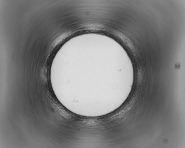 X0000096200970200802151522