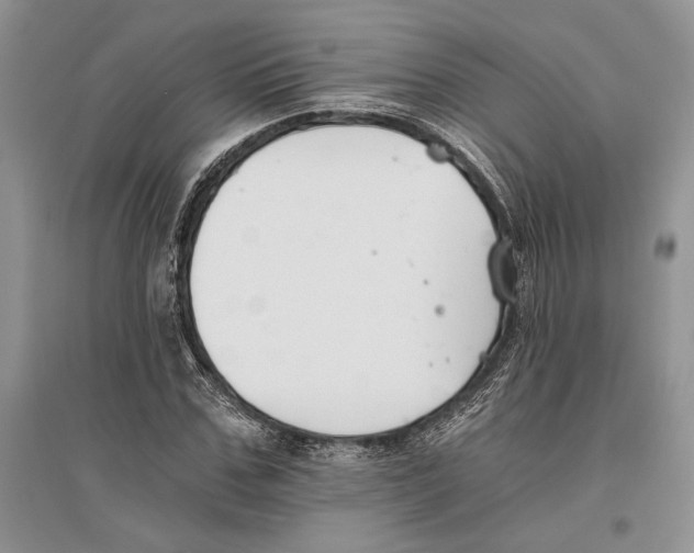 X0000096200971200802151522