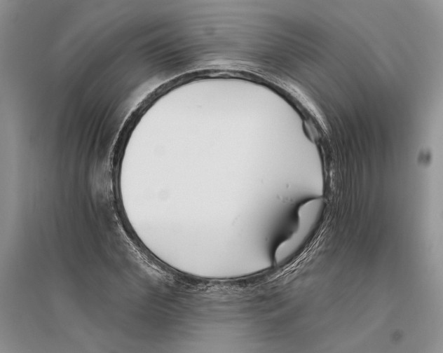 X0000096200972200802151522