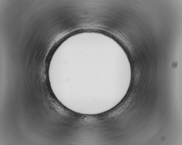 X0000096200974200802151522