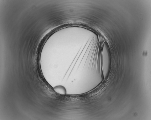 X0000096200975200802151522