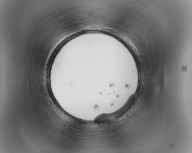 X0000096200976200802151522