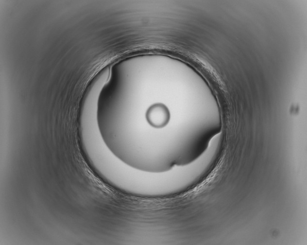 X0000096200977200802151522