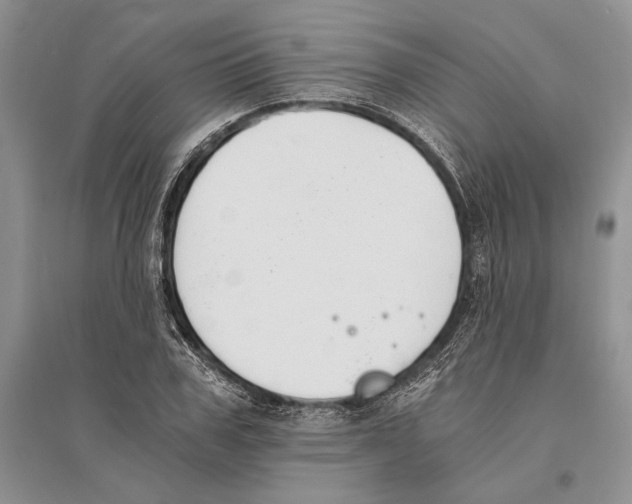 X0000096200979200802151521