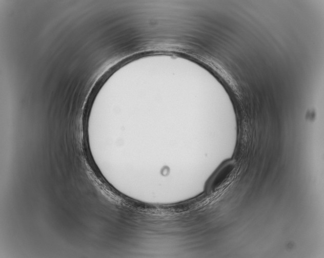 X0000096200980200802151521