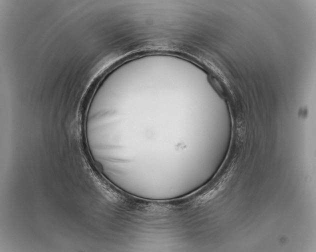 X0000096200981200802151521