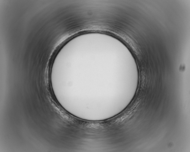 X0000096200982200802151521