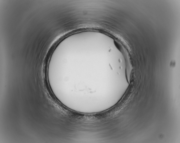 X0000096200983200802151521