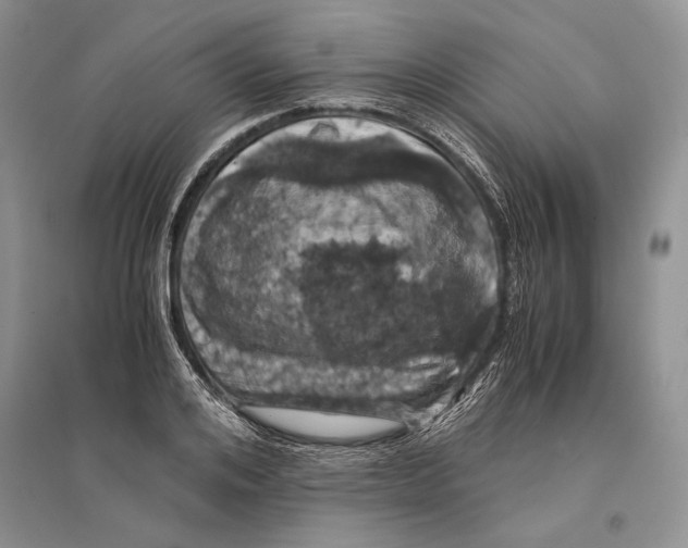 X0000096200984200802151521