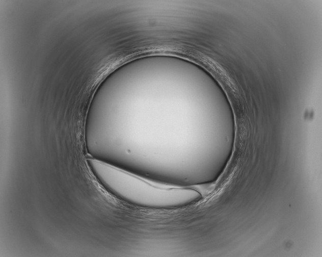 X0000096200985200802151521