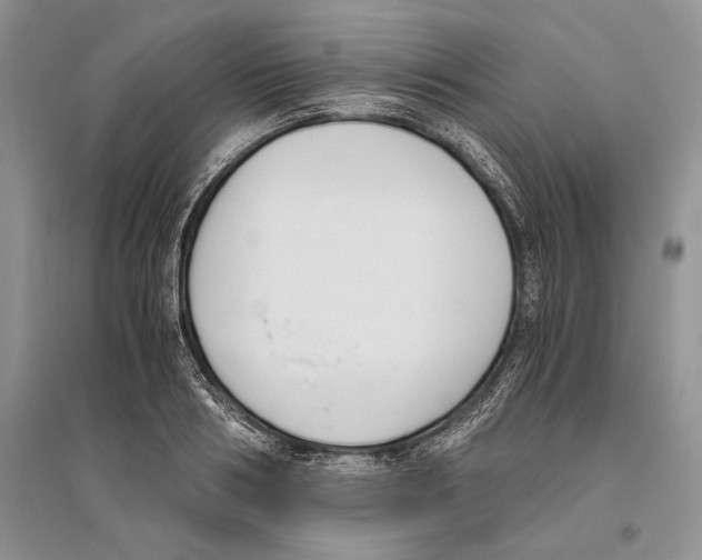 X0000096200986200802151521